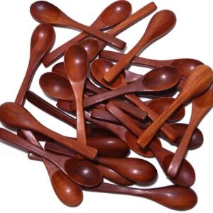 Wooden Condiments Masala / Ice-Cream / Sugar / Salt Small Spoons (12 pcs)