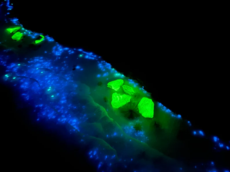 il_794xN.4027633812_5912