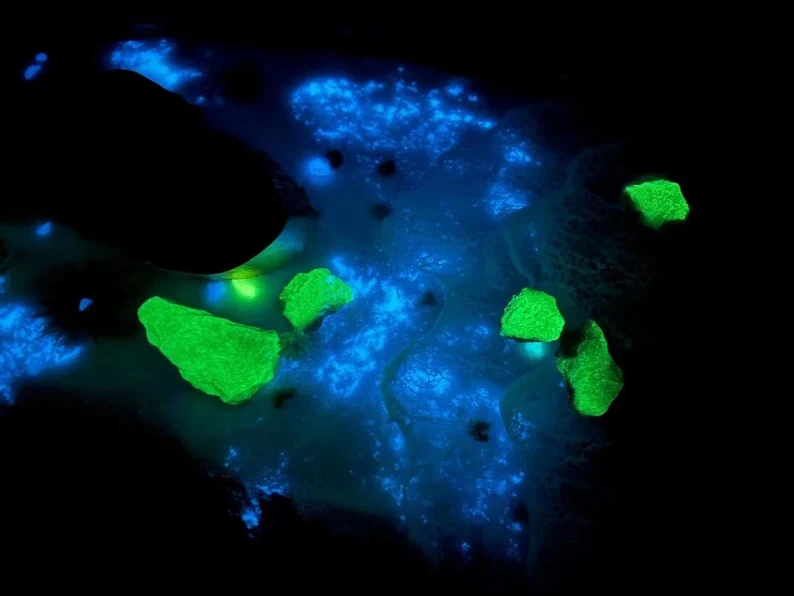 il_794xN.4083625117_liy8